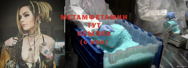 крисы Козловка