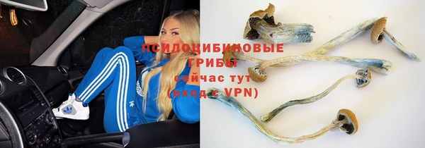 кристаллы Кодинск