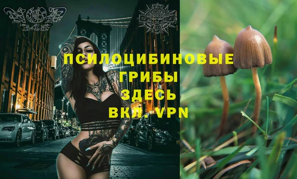 амф Киренск
