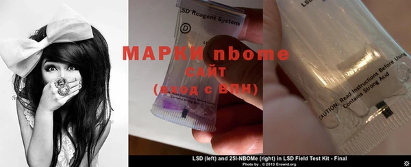 крисы Козловка