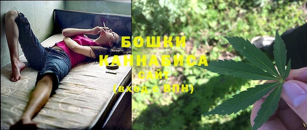 стафф Кинешма