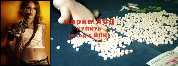 крисы Козловка